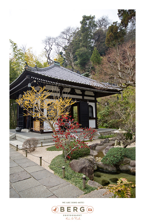 Japan Travel Photography (111)