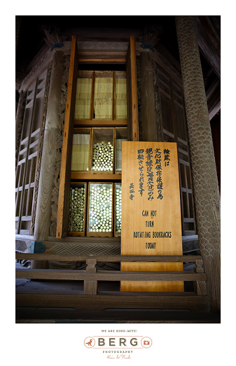 Japan Travel Photography (112)