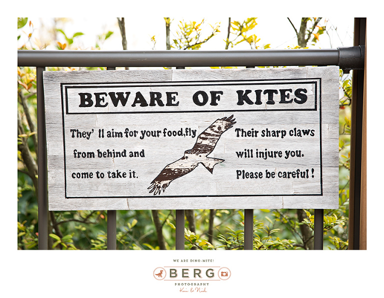 Japan Travel Photography (116)