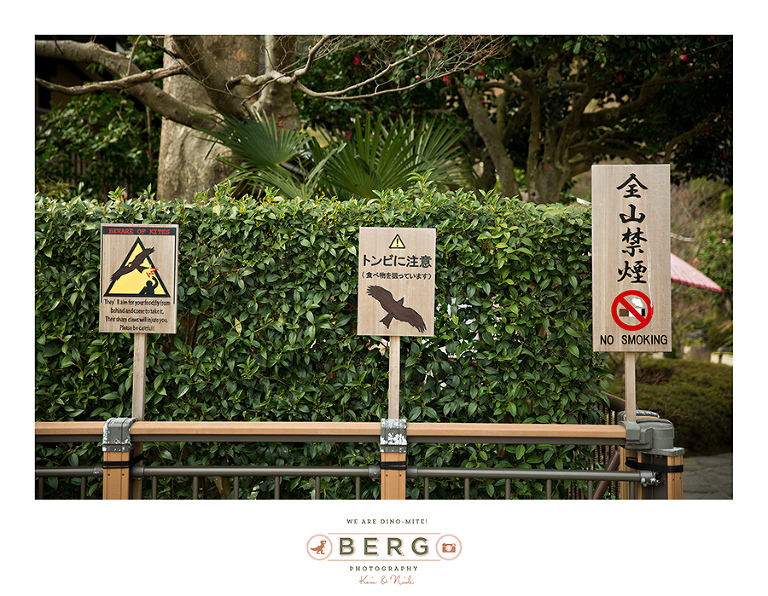 Japan Travel Photography (117)