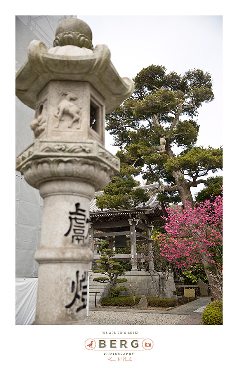 Japan Travel Photography (118)