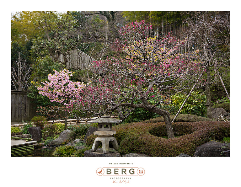 Japan Travel Photography (121)