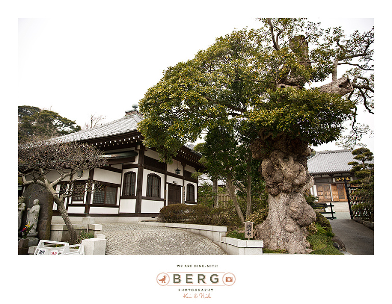 Japan Travel Photography (122)