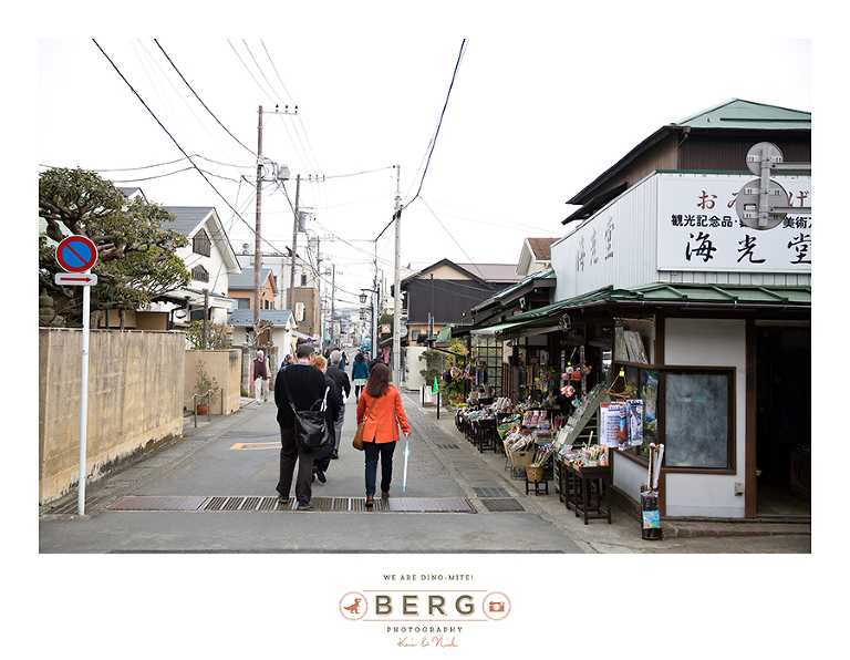 Japan Travel Photography (123)