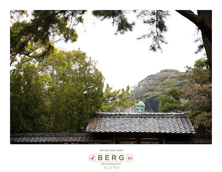 Japan Travel Photography (124)