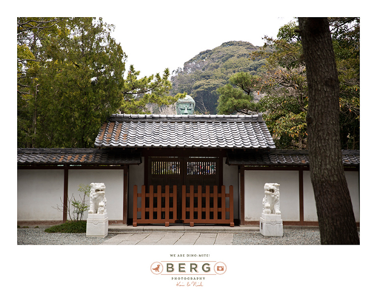 Japan Travel Photography (125)