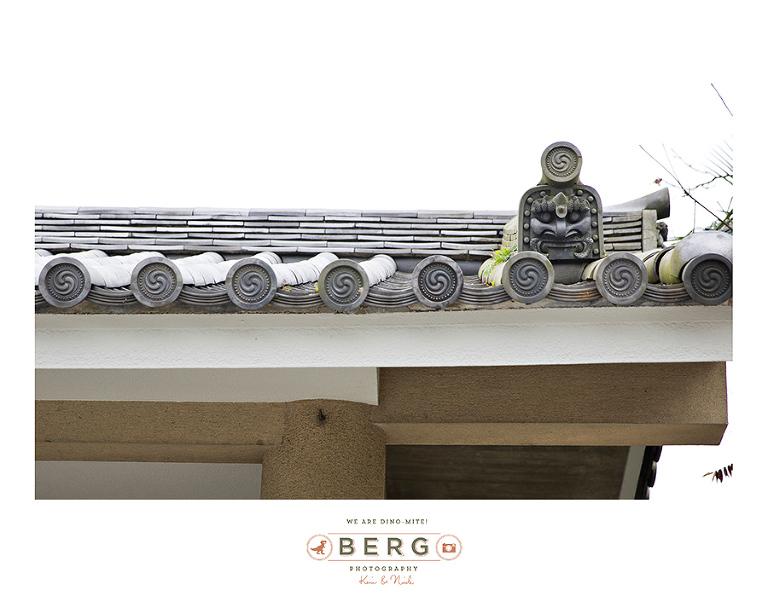 Japan Travel Photography (130)