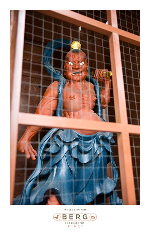 Japan Travel Photography (131)