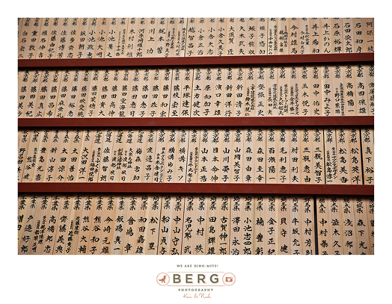 Japan Travel Photography (137)