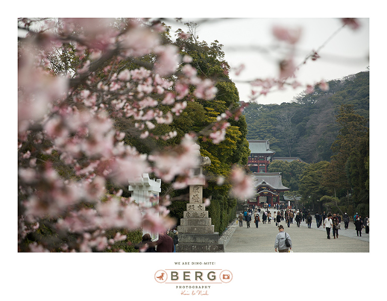 Japan Travel Photography (138)