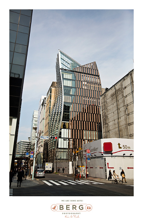 Japan Travel Photography (14)