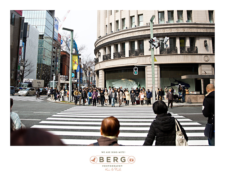 Japan Travel Photography (15)