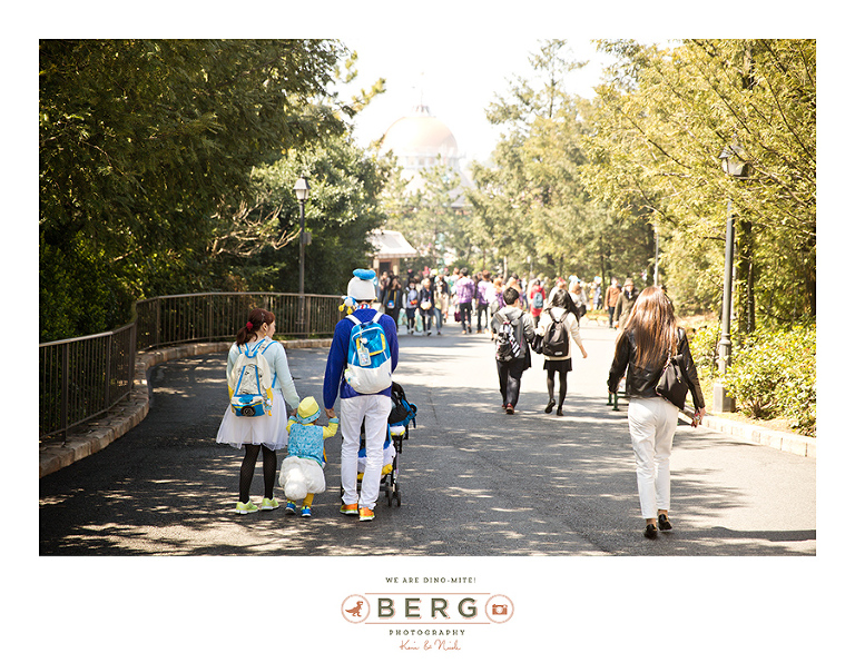 Japan Travel Photography (150)