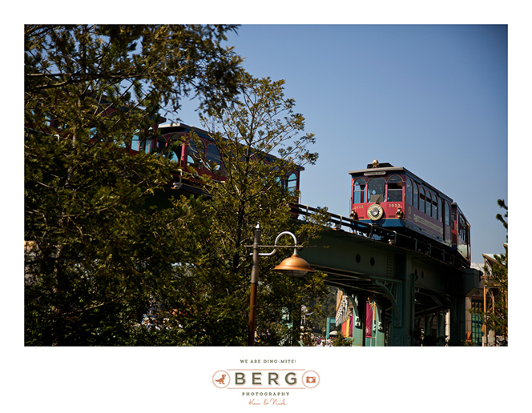 Japan Travel Photography (151)