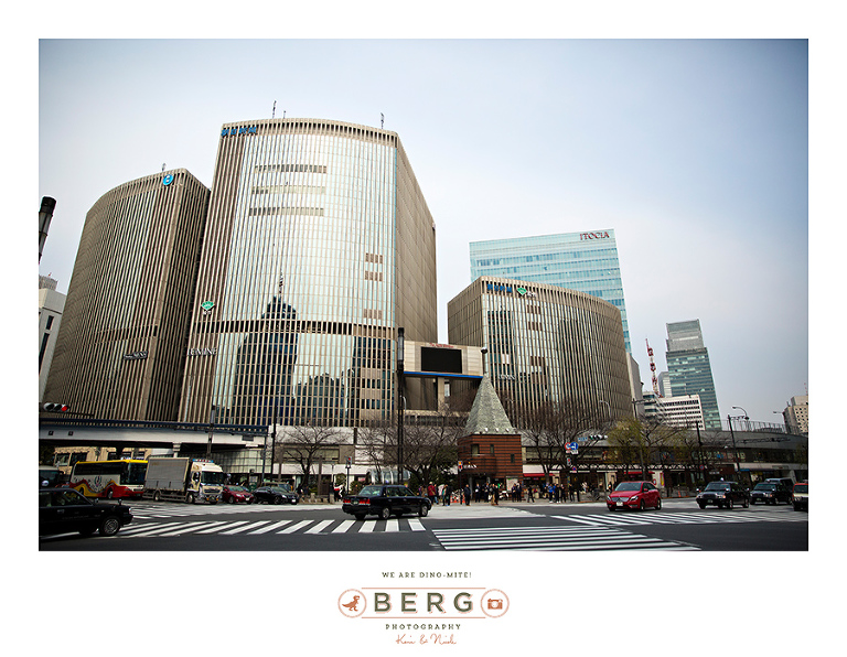 Japan Travel Photography (16)