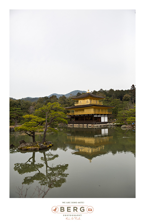 Japan Travel Photography (164)