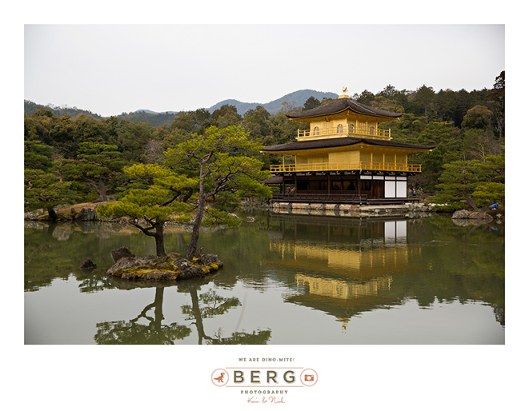 Japan Travel Photography (165)