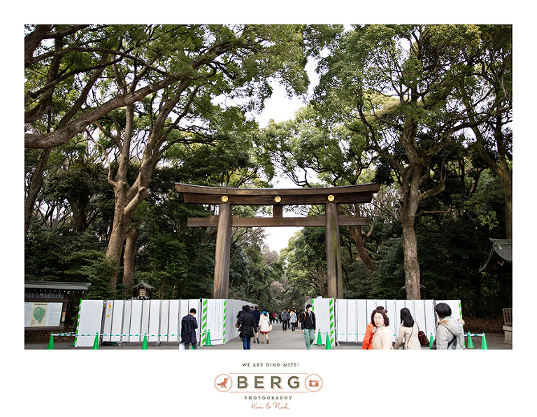 Japan Travel Photography (17)