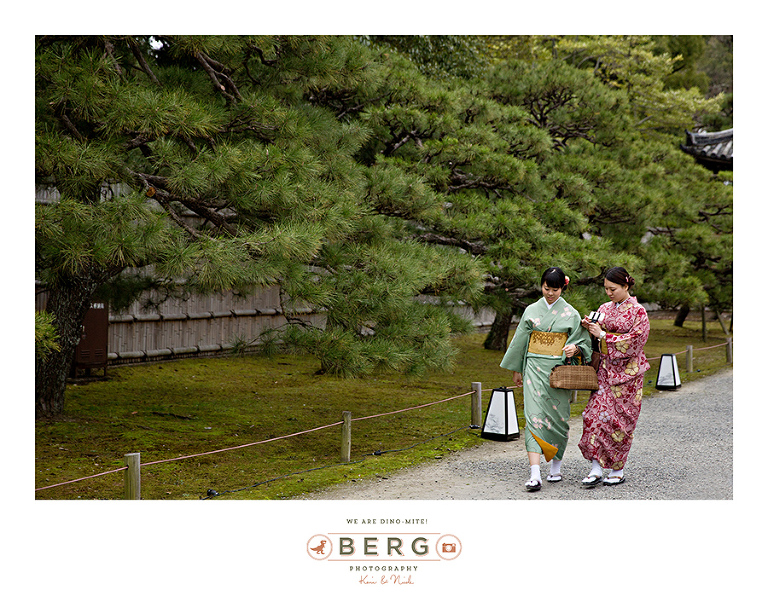 Japan Travel Photography (172)