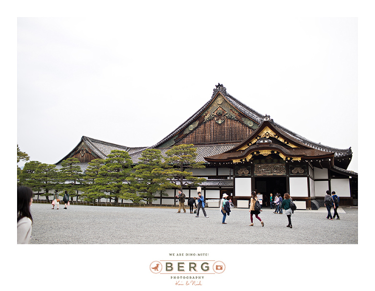 Japan Travel Photography (175)