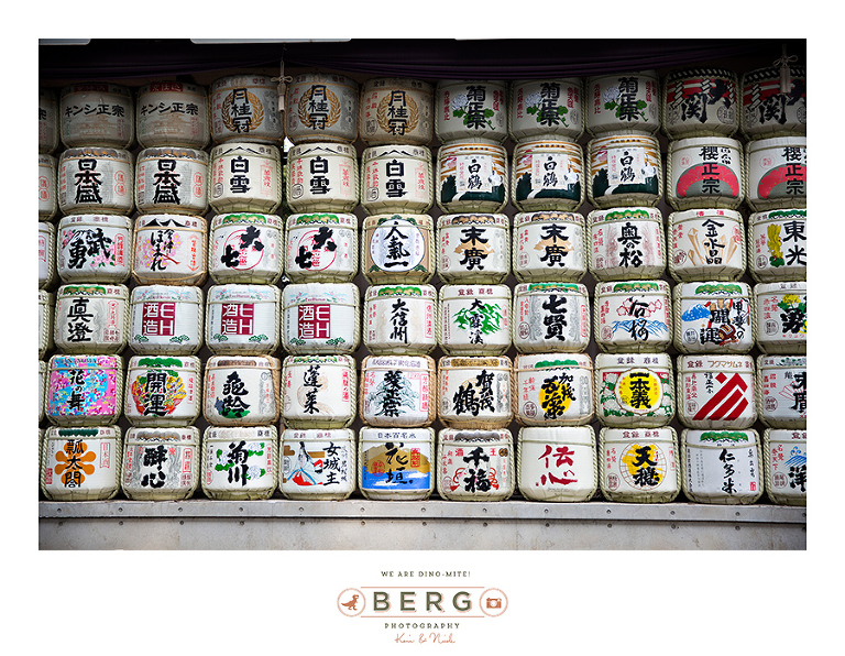 Japan Travel Photography (18)