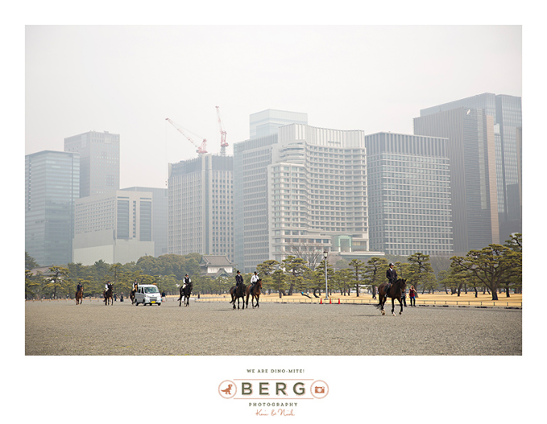 Japan Travel Photography (185)