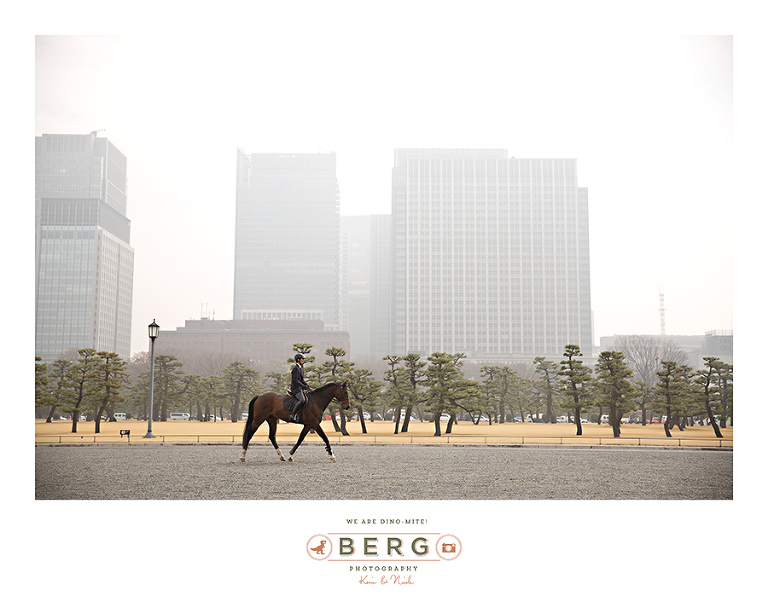 Japan Travel Photography (186)