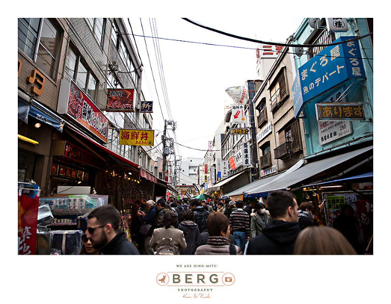 Japan Travel Photography (2)