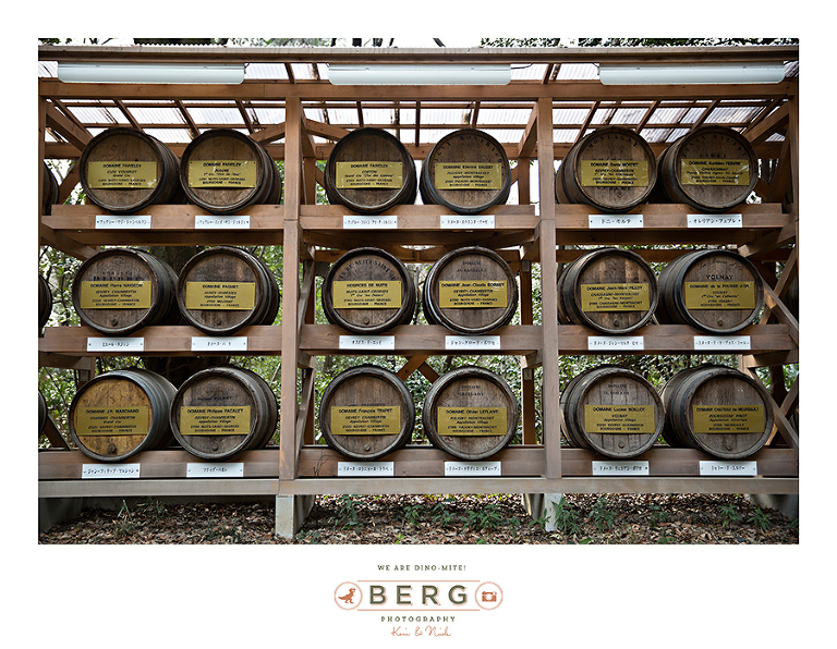 Japan Travel Photography (20)