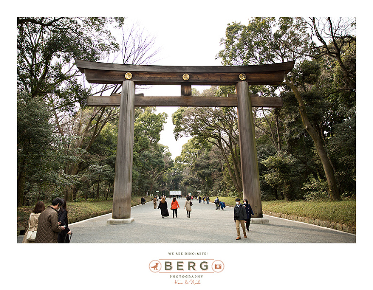 Japan Travel Photography (21)