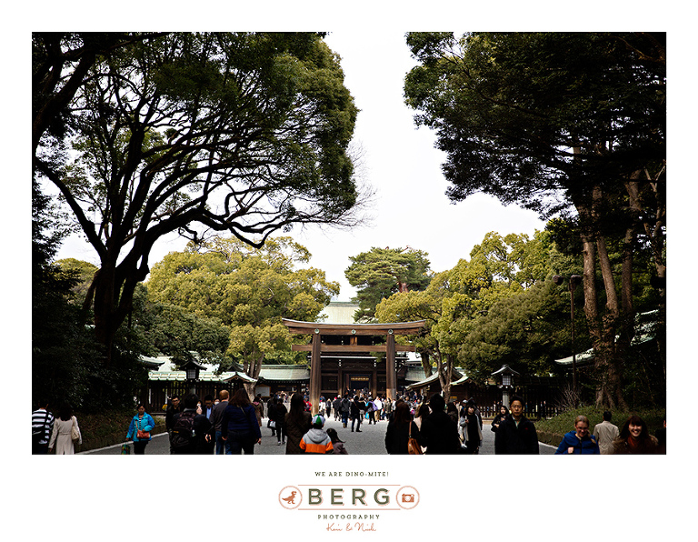 Japan Travel Photography (22)