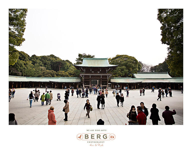 Japan Travel Photography (24)