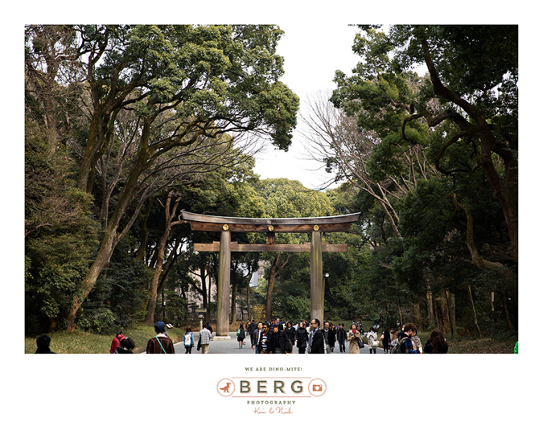 Japan Travel Photography (26)