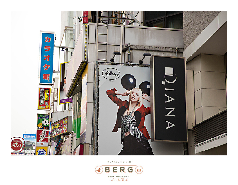 Japan Travel Photography (31)