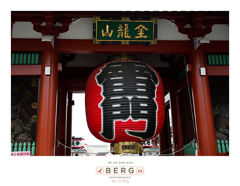 Japan Travel Photography (33)