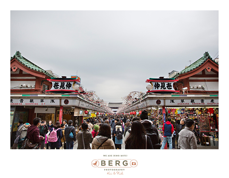 Japan Travel Photography (34)