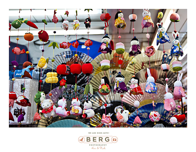 Japan Travel Photography (37)