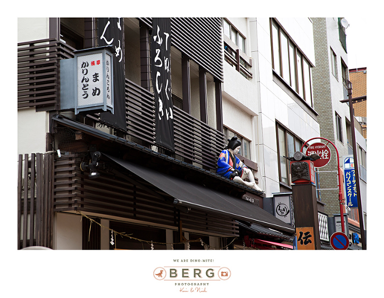 Japan Travel Photography (38)