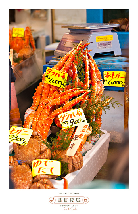 Japan Travel Photography (4)