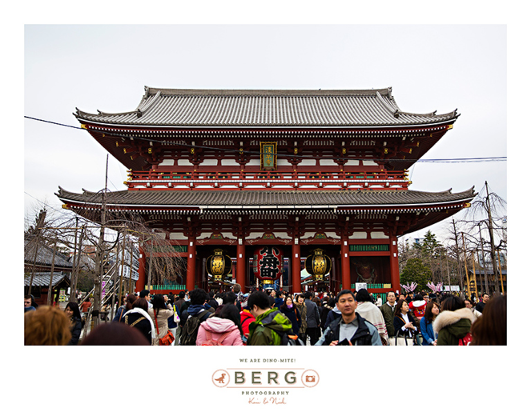 Japan Travel Photography (40)