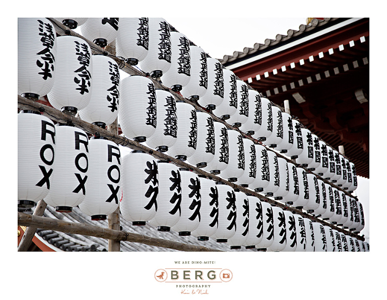 Japan Travel Photography (41)