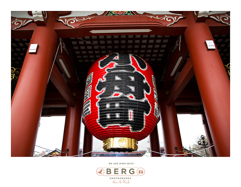 Japan Travel Photography (42)