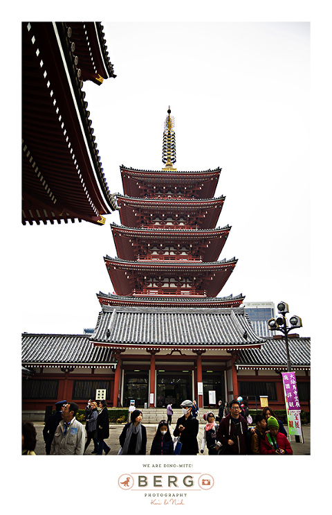 Japan Travel Photography (43)