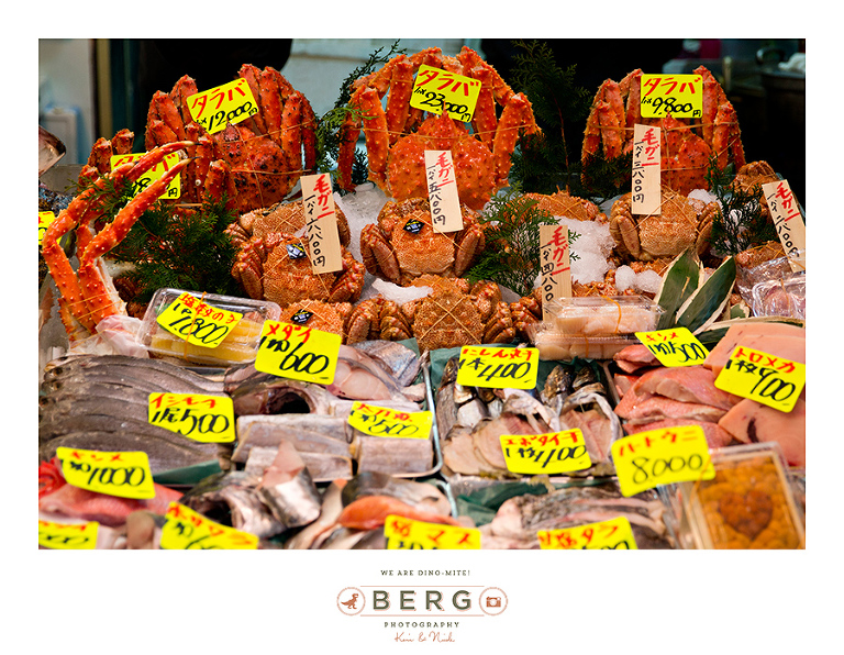 Japan Travel Photography (5)