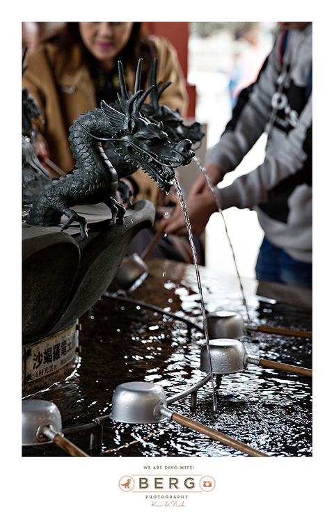 Japan Travel Photography (50)