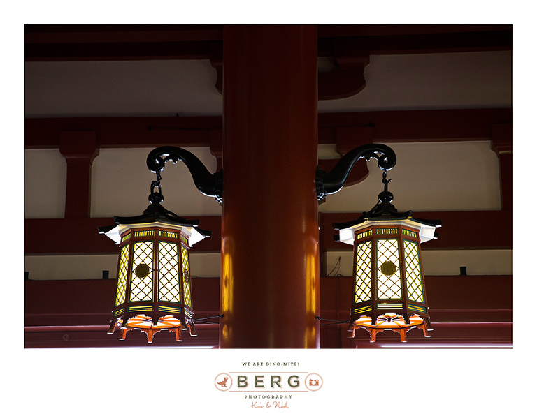 Japan Travel Photography (53)