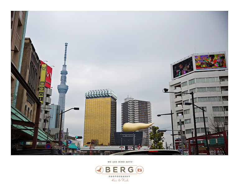 Japan Travel Photography (56)