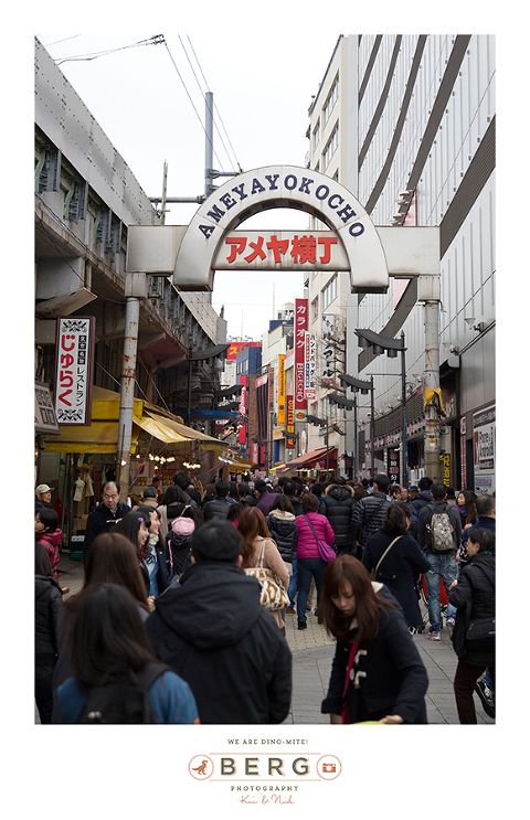 Japan Travel Photography (57)