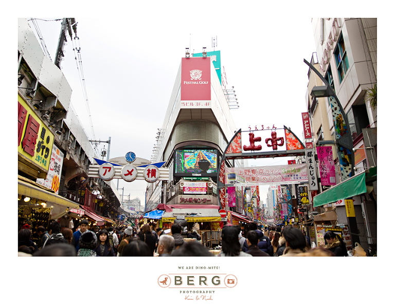 Japan Travel Photography (58)