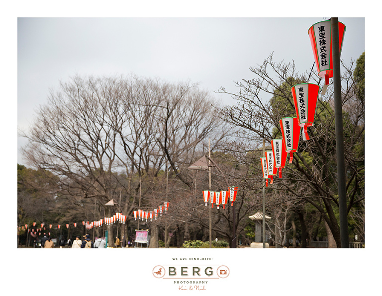 Japan Travel Photography (59)